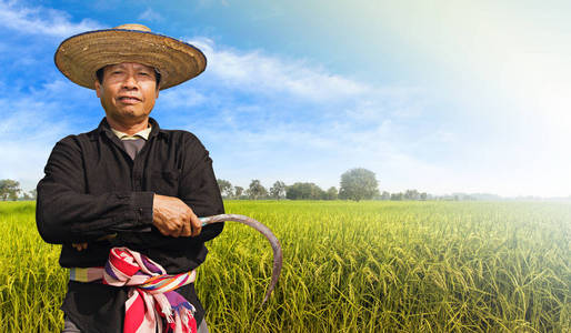 农民在稻田中