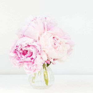 白色木质背景的粉红色牡丹花