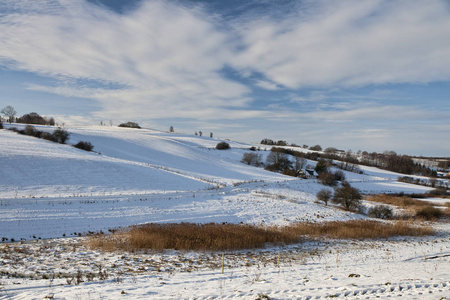 丹麦冬天风景图片
