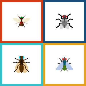 图标扁平飞集蚊子嗡嗡声粪便等矢量物体。还包括苍蝇, 蚊, 嗡嗡声元素