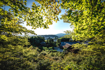 京都城市天际线日本与寺庙日本庭院请访问