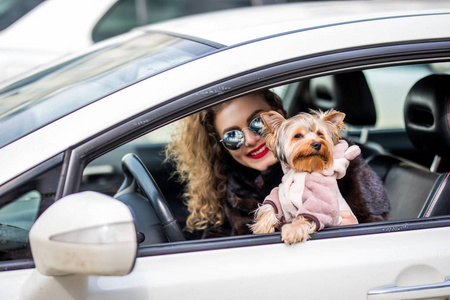 年轻美丽的妇女在太阳镜和小狗约克郡猎犬在衣裳在汽车。有趣的狗旅行。度假与宠物概念
