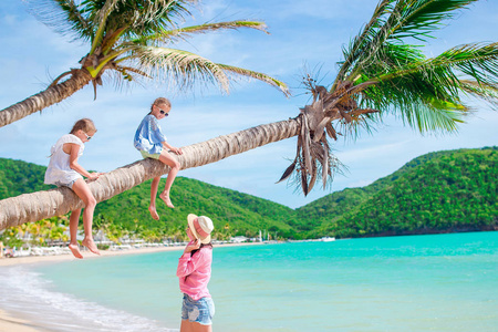 年轻的家庭度假有很多的乐趣 palmtree