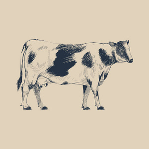 牛绘画奶牛插画绘画风格照片