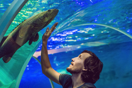 人看水族馆里的鱼