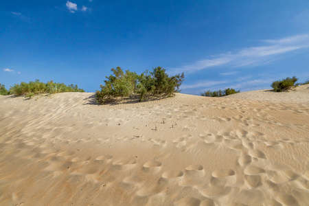 黑海沿岸的沙丘。俄罗斯。克拉斯诺达尔地区。阿纳帕