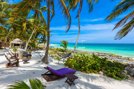 墨西哥的热带度假胜地天堂海滩棕榈树下的椅子