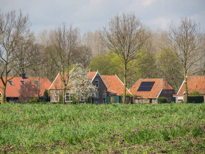 春天时间在荷兰