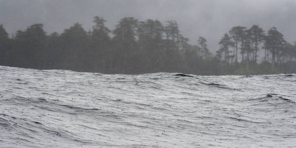 太平洋的波浪, 斯基纳夏洛特区域区, 海达 Gwaii, 格雷厄姆岛, 不列颠哥伦比亚, 加拿大