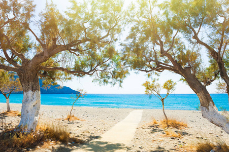 美丽的海滩与树木在克里特岛, 希腊