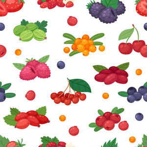 浆果载体 berrying 混合草莓蓝莓覆盆子黑莓和红醋栗插图浆果设置白色背景无缝图案