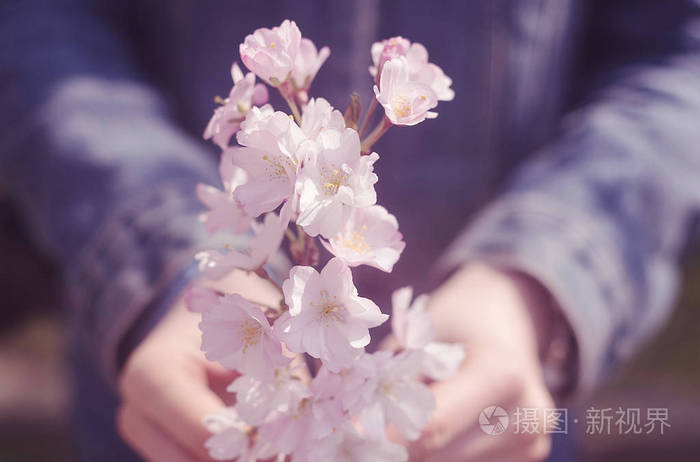 年轻的人拿着束粉红色的花朵在她的手中