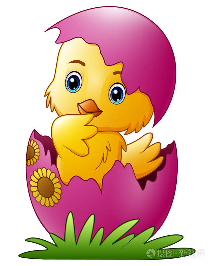 从一个白色背景的卵子中孵化出可爱的小卡通小鸡的矢量插图