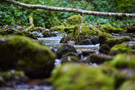 河和苔藓巨石的特写视图图片