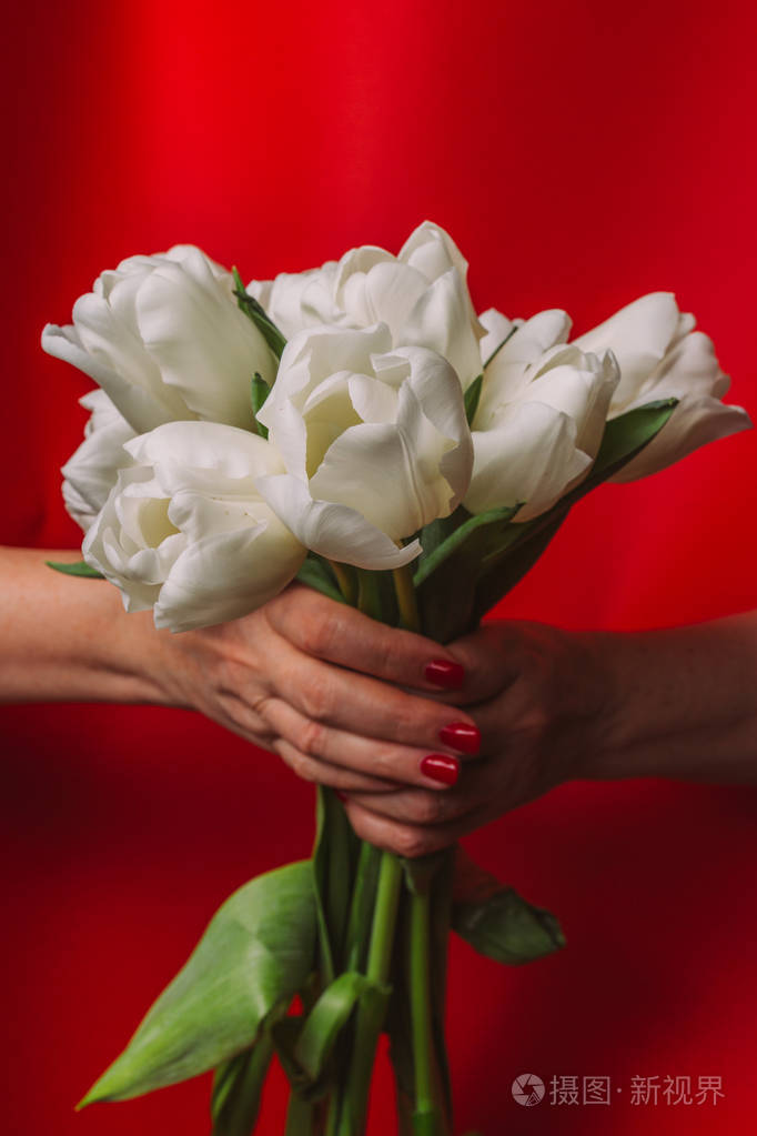 一束鲜花郁金香在手