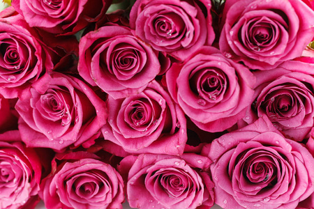 许多新鲜的粉红色玫瑰