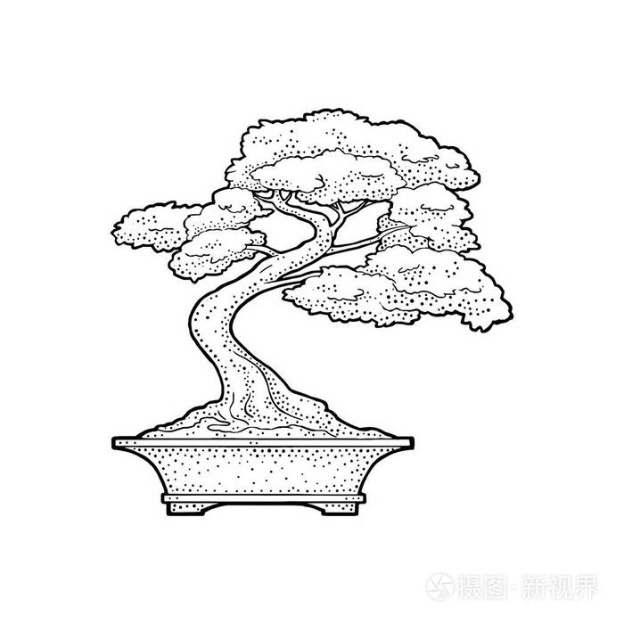 盆栽树.老式黑色矢量雕刻插图