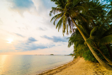 在海滩附近的树木图片