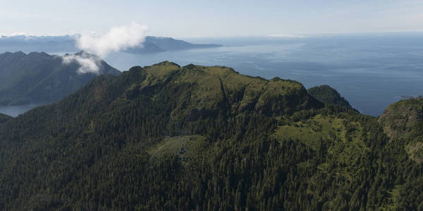 太平洋岛屿, 斯基纳夏洛特区域区, 海达 Gwaii, 格雷厄姆岛, 不列颠哥伦比亚, 加拿大