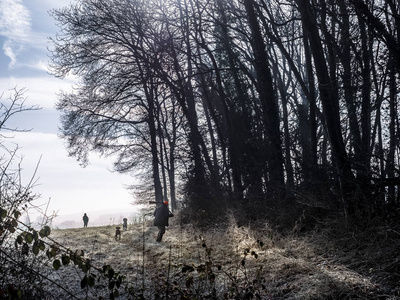 猎人与狗在一个冬天的早晨图片
