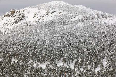 冬天山森林下雪风景。纳瓦塞拉达, 西班牙