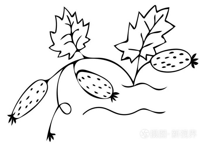 黄瓜黑线矢量图标插画-正版商用图片044jj2-摄图新视界