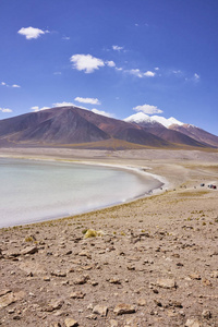 Miscanti 湖和 Miniques 全景