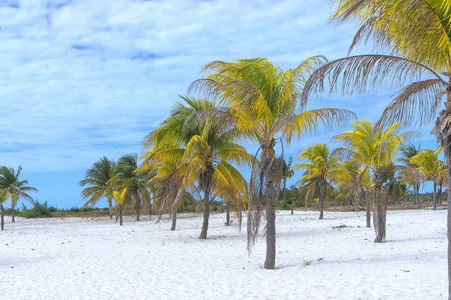 尘世的天堂, 棕榈树的太阳和靠近大海的沙子