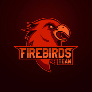 现代职业篮球队标志。国产吉祥物。Firebirdss, 矢量符号在光背景下