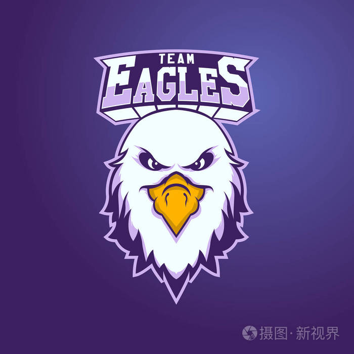 现代职业篮球队标志.老鹰吉祥物老鹰, 矢量符号在光背景下