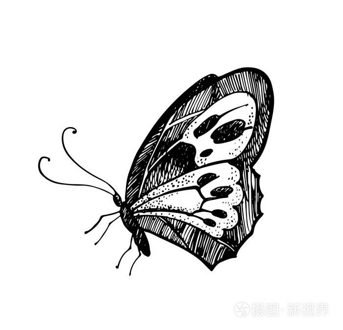 贺卡或其他类型设计的手绘插图