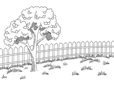 园林图黑色白色景观苹果树素描插画矢量照片