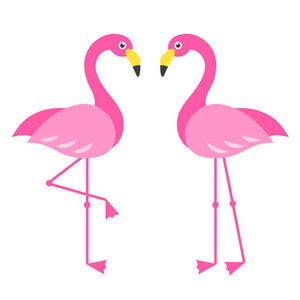 两只粉红色的火烈鸟鸟被隔离在白色