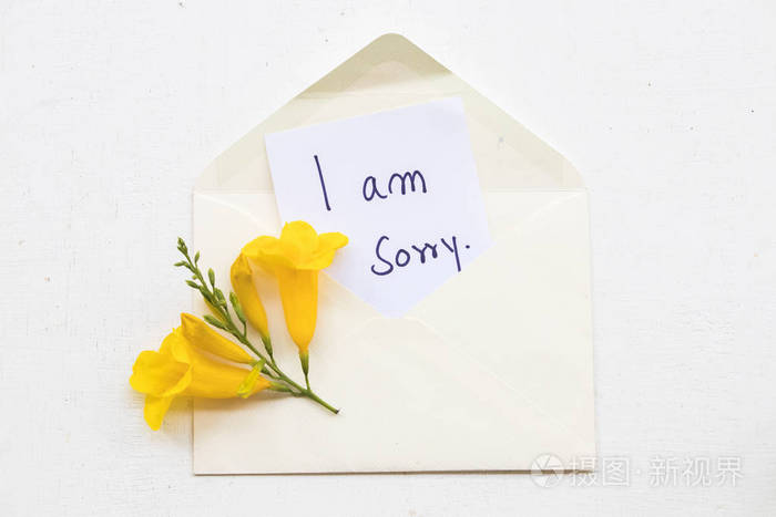 我很抱歉信息卡片与黄色花和信封在背景白色