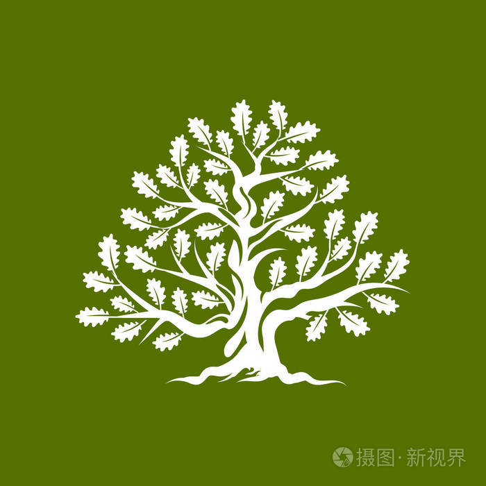 巨大和神圣的橡树剪影标志徽章在绿色背景隔绝了