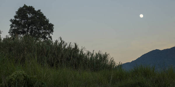 黎明时分, 老挝的天空中有月亮的低景色