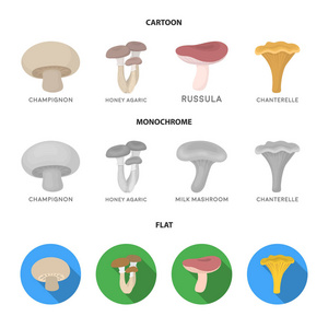 香菇, 亲爱的, 伞, 菇, 鸡油菌。集合图标在卡通, 平面, 单色风格矢量符号股票插画网站