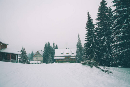覆盖着雪和房屋的冷杉树的冬季森林