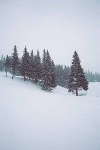 顶部有冷杉树的雪冬山