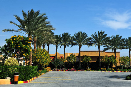 花园阿拉伯图片