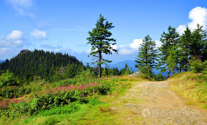 夏日风景与山在国家公园巴伐利亚森林 德国的克莱因osser照片 正版商用图片045j74 摄图新视界 夏日风景与山在国家公园巴伐利亚森林 德国的克莱因osser照片 正版商用图片045j74 摄图新视界