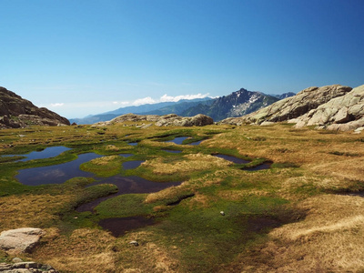 美丽的山风景与蓝色泻湖在 meadowwith f