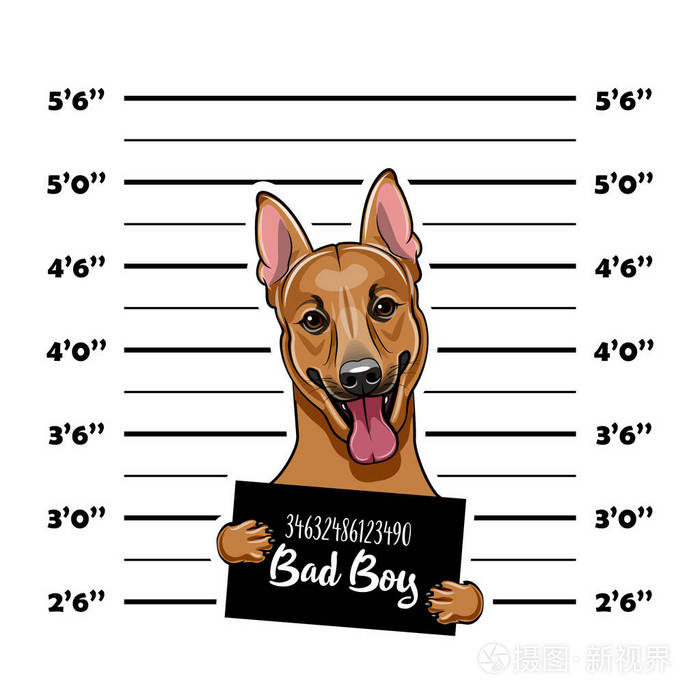 德国牧羊犬 囚犯 犯人 狗罪犯警察标语牌 警察嫌疑犯 阵容 逮捕照片嫌疑犯照片 向量插画 正版商用图片045lm6 摄图新视界