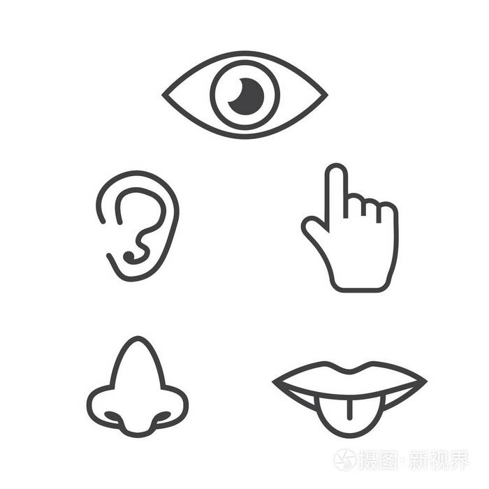 插画 图标人的感官: 视觉, 嗅觉, 听觉, 触觉, 味觉.图标 s.eps