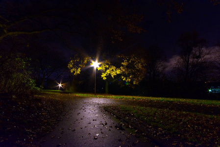 在公园的方式在夜晚的光线壁纸背景