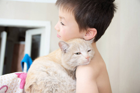 男孩醒来后拥抱猫, 孩子手上最喜欢的宠物, 儿童与猫的互动