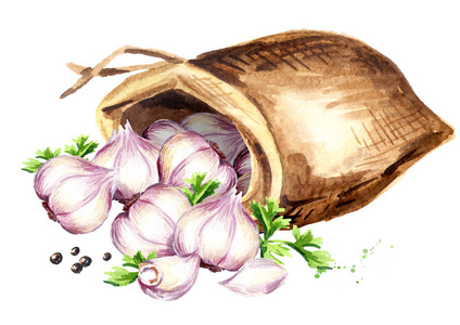 用大蒜麻袋.水彩手绘插图, 在白色背景下隔离照片