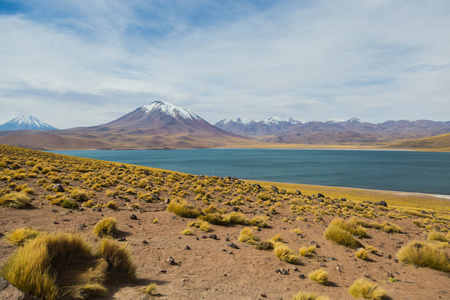 智利的沙漠泻湖南美洲