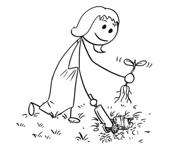 园艺女工的卡通画挖一个洞为植物