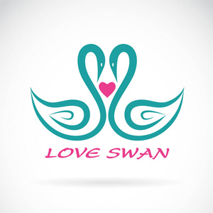 两只天鹅和心在白色背景的向量.鸟.动物照片